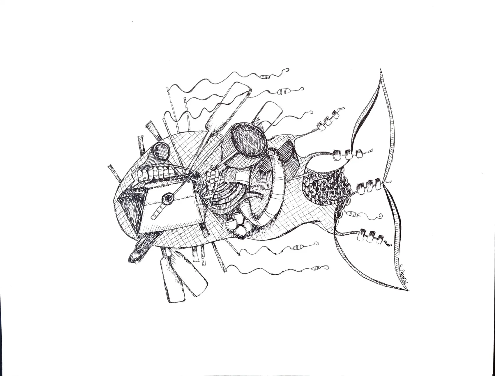 Articles de pêche