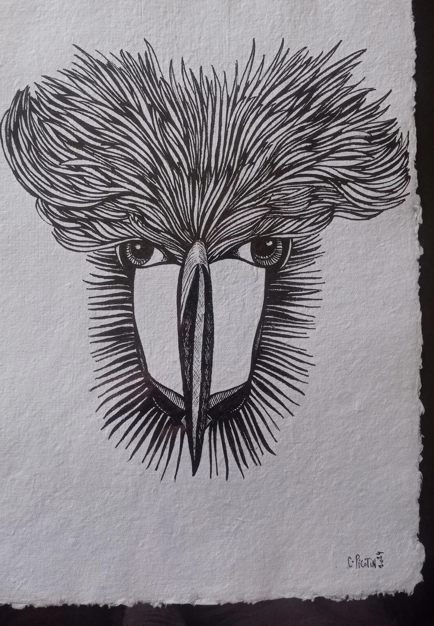 Tête d’oiseau