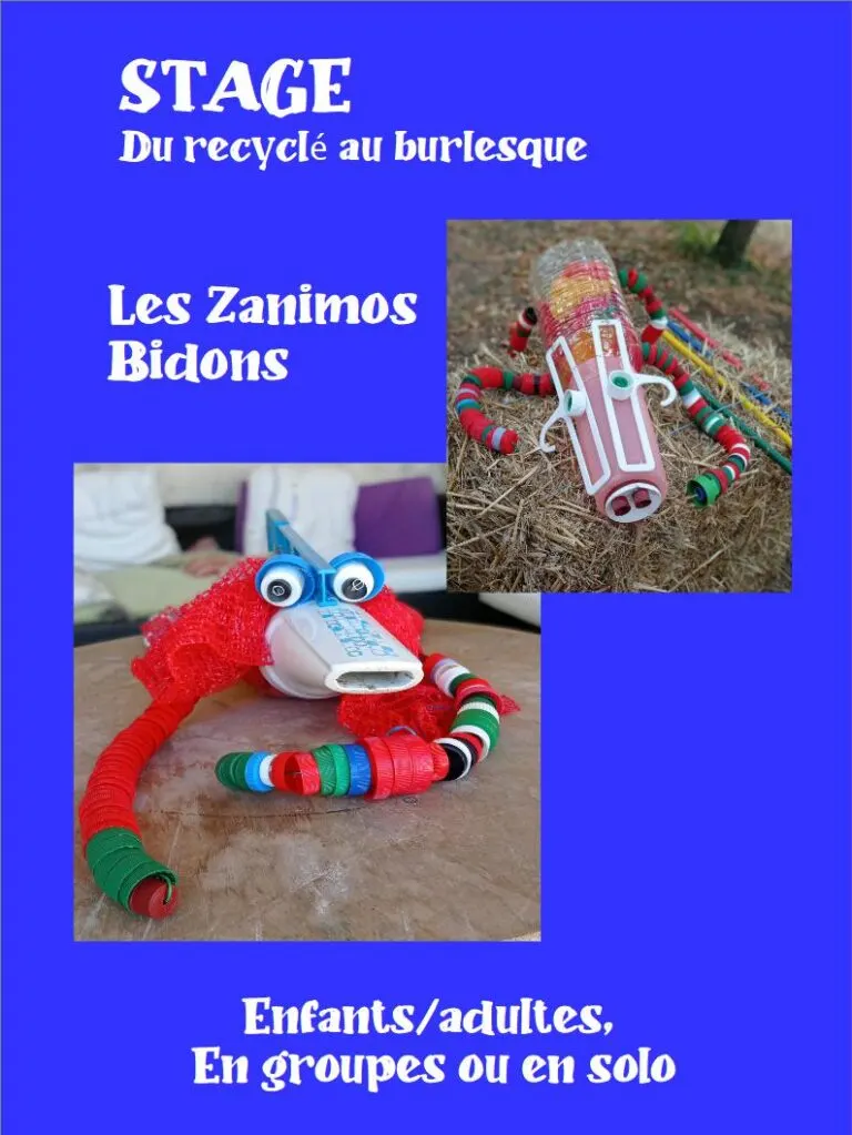 Les Zanimos bidons