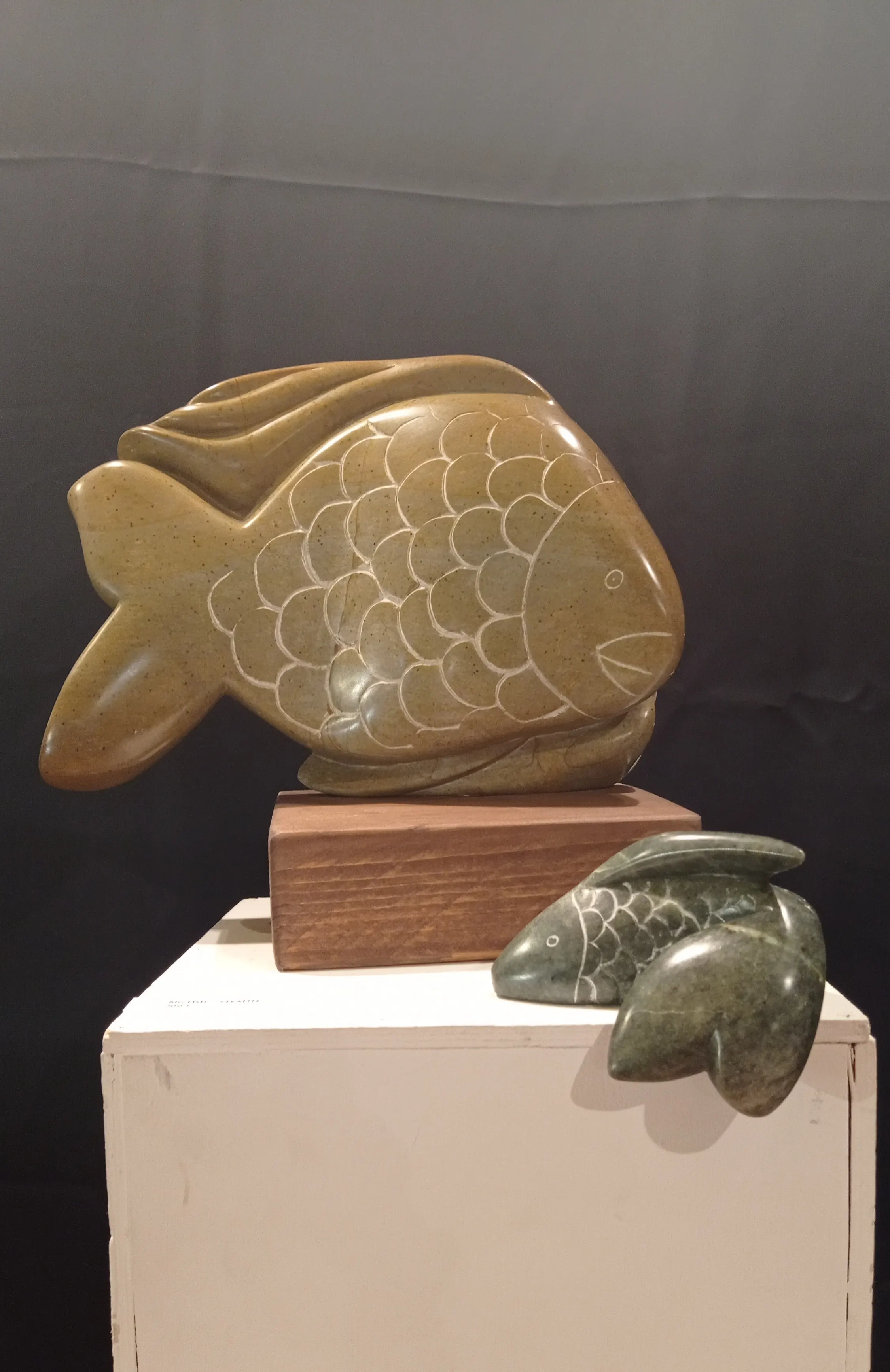 Poissons