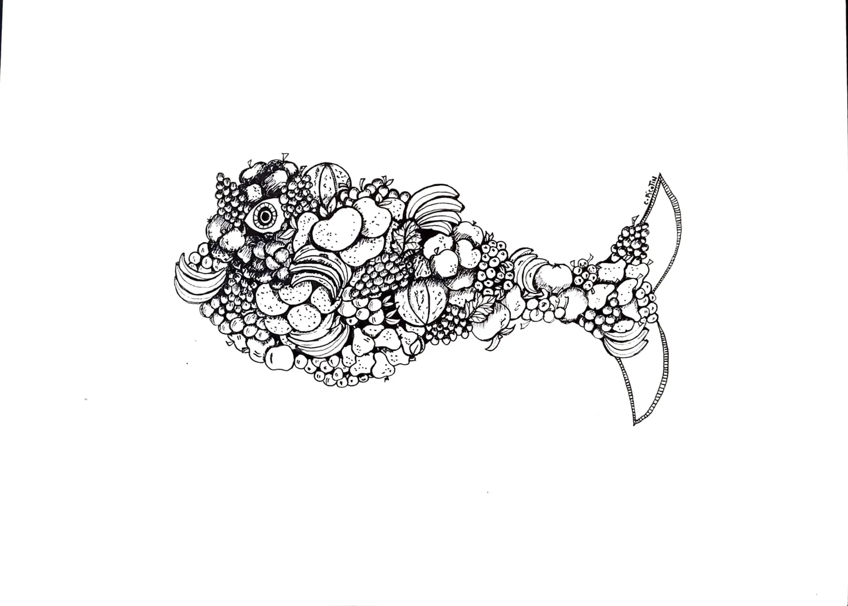 Poisson fruits